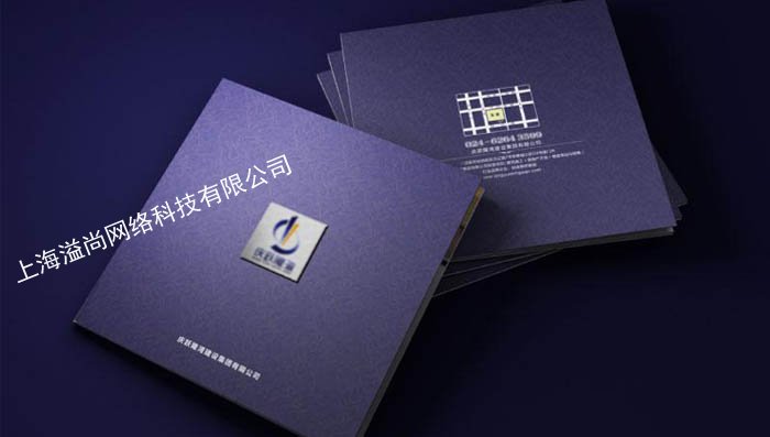 企業(yè)形象畫冊設(shè)計(jì)印刷