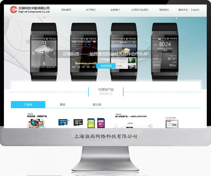 企業(yè)電子類網(wǎng)站建設(shè)案例