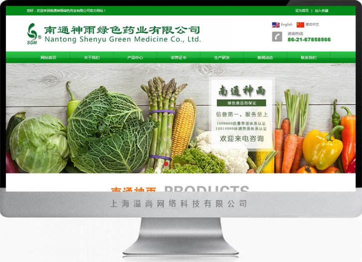 企業營銷型網站設計制作案例