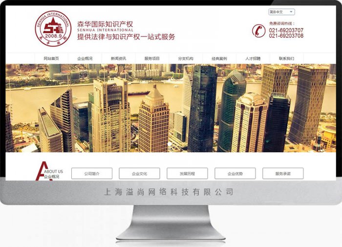 上海服務型網站設計制作案例